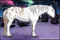 Horse Color:Bay Roan Dun Tobiano Blanket 