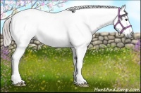 Horse Color:Gray Chestnut Splash Tobiano