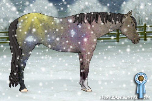 Horse Color: Smoky Grullo Roan 