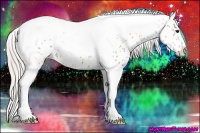 Horse Color:Silver Grullo Tobiano Leopard 