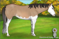 Horse Color:Bay Roan Dun Splash