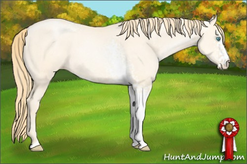 Horse Color: White Spotted Buckskin Pearl Dun 