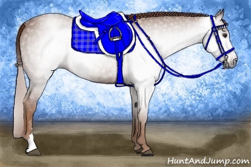 Horse Color:Gray Chestnut 