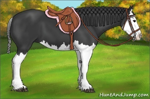 Horse Color: Black Splash 