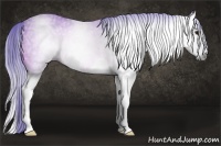 Horse Color:Gray Watercolor Bay Ice Splash 