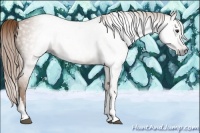 Horse Color:Gray Chestnut 