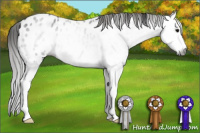 Horse Color:Gray Black Splash Near Leopard 