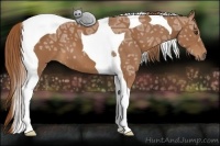 Horse Color:Chestnut Ice Tobiano 