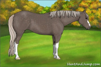 Horse Color:Silver Black 