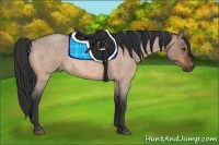 Horse Color:Bay Roan Dun