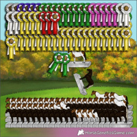 Horse Color:Silver Black Pearl Sabino Tobiano Rabicano 