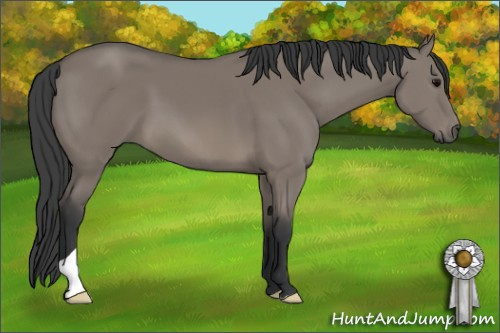 Horse Color: Grullo 