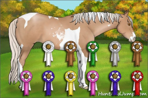 Horse Color: Silver Brown Pearl Sabino Tobiano 