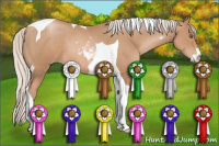 Horse Color:Silver Brown Pearl Sabino Tobiano 