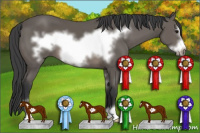 Horse Color:Black Sabino Frame