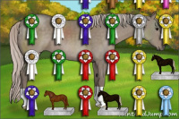 Horse Color:Silver Grullo