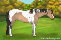 Horse Color:Bay Dun Tobiano 
