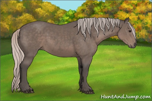 Horse Color:Silver Black Sabino