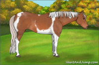 Horse Color:Silver Bay Tobiano 