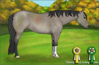 Horse Color:Grullo 