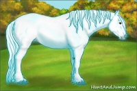Horse Color:Gray Thunderstruck Chestnut 