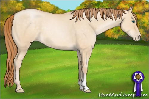 Horse Color: Buckskin Pearl Dun 