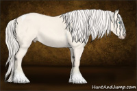 Horse Color:Cremello Dun Sabino Tobiano 