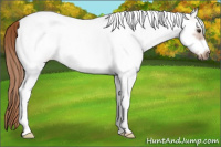 Horse Color:White Spotted Red Roan Frame 