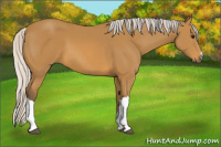 Horse Color:Silver Buckskin 