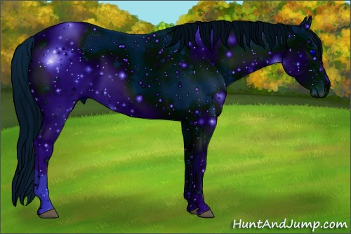 Horse Color: ERROR: UNKNOWN ANOMALY