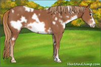 Horse Color:White Spotted Liver Chestnut Frame 