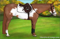 Horse Color:Liver Chestnut Frame 