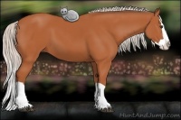 Horse Color:Silver Bay Splash 