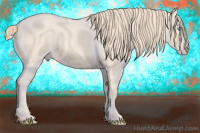 Horse Color:Perlino 
