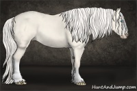 Horse Color:Cremello Dun 