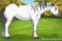 Horse Color:White Spotted Black Splash Frame 
