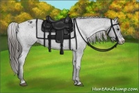 Horse Color:Black Blanket Rabicano 