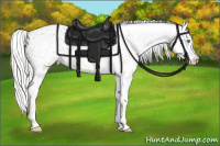 Horse Color:Silver Classic Cream Champagne Dun Blanket Rabicano 