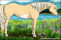 Horse Color:Palomino Frame 
