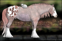 Horse Color:Watercolor Chestnut Ice Sabino Splash Appaloosa Rabicano
