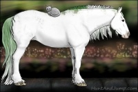 Horse Color:Watercolor Bay Ice Sabino Splash Rabicano 