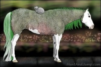 Horse Color:Watercolor Bay Ice Roan Splash