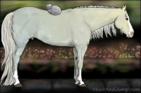Horse Color:Watercolor Palomino Ice Dun Splash 