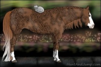 Horse Color:Chestnut Ice Sabino Splash