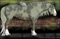 Horse Color:Watercolor Chestnut Ice Sabino Splash Rabicano 