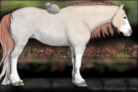 Horse Color:Watercolor Red Dun Ice Roan Sabino Splash 