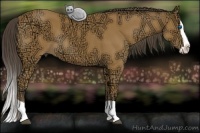 Horse Color:Buckskin Ice Splash Rabicano