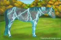 Horse Color:Thunderstruck Black Ice Tobiano 
