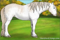 Horse Color:White Spotted Smoky Creme 