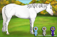 Horse Color:Gray Silver Amber Cream Champagne Roan Dun Splash Tobiano Frame Appaloosa Rabicano 